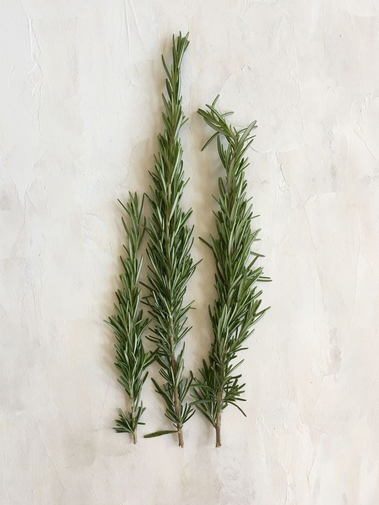 Hair oil infused with rosemary and clove