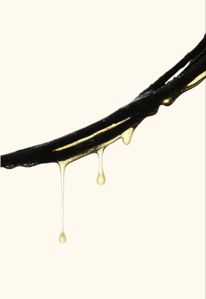 Vanilla Bean Summer Sol Oil