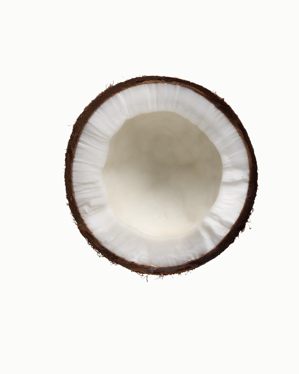 Coconut body lotion