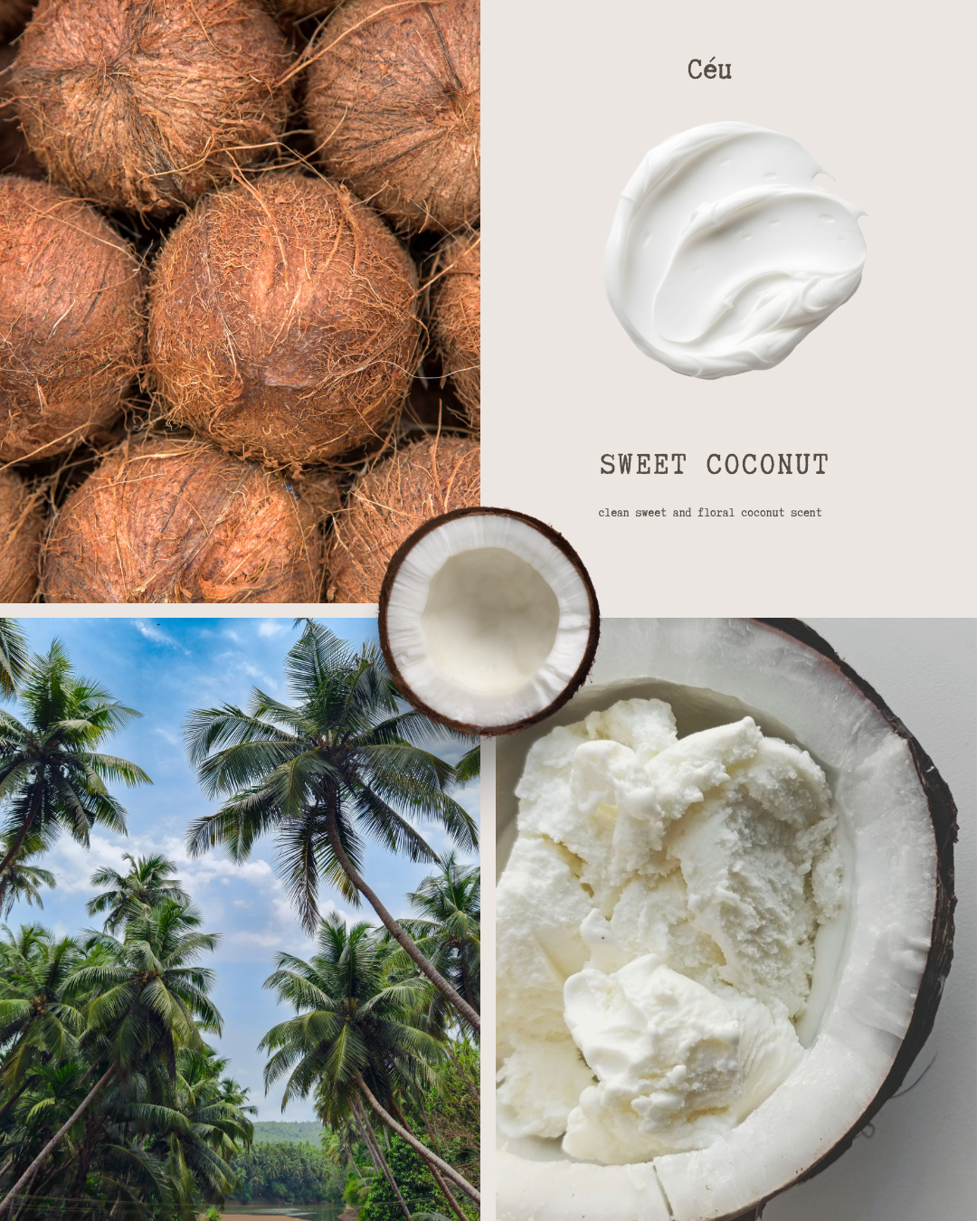 Sweet Coconut body butter