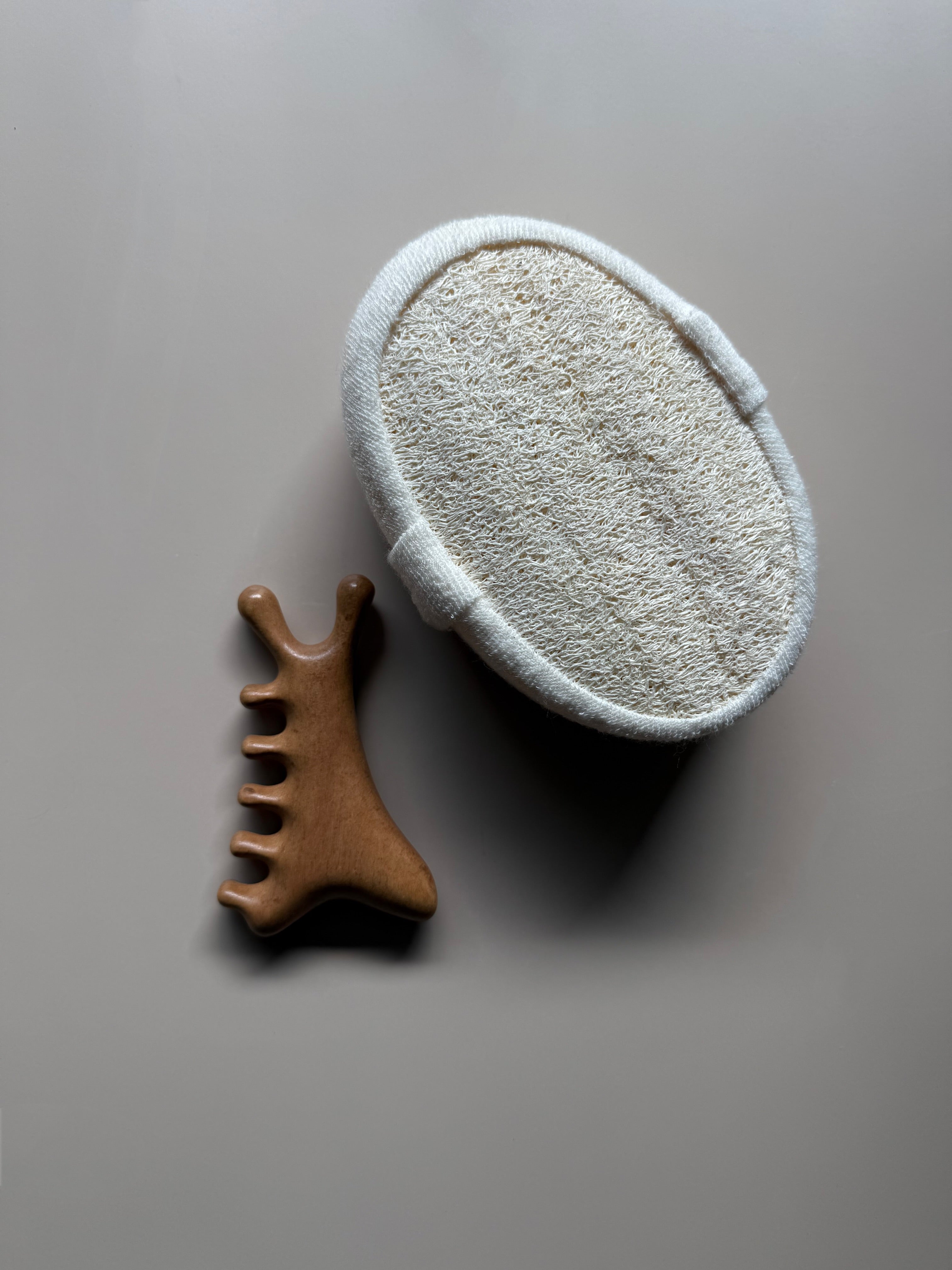 Loofah Sponge