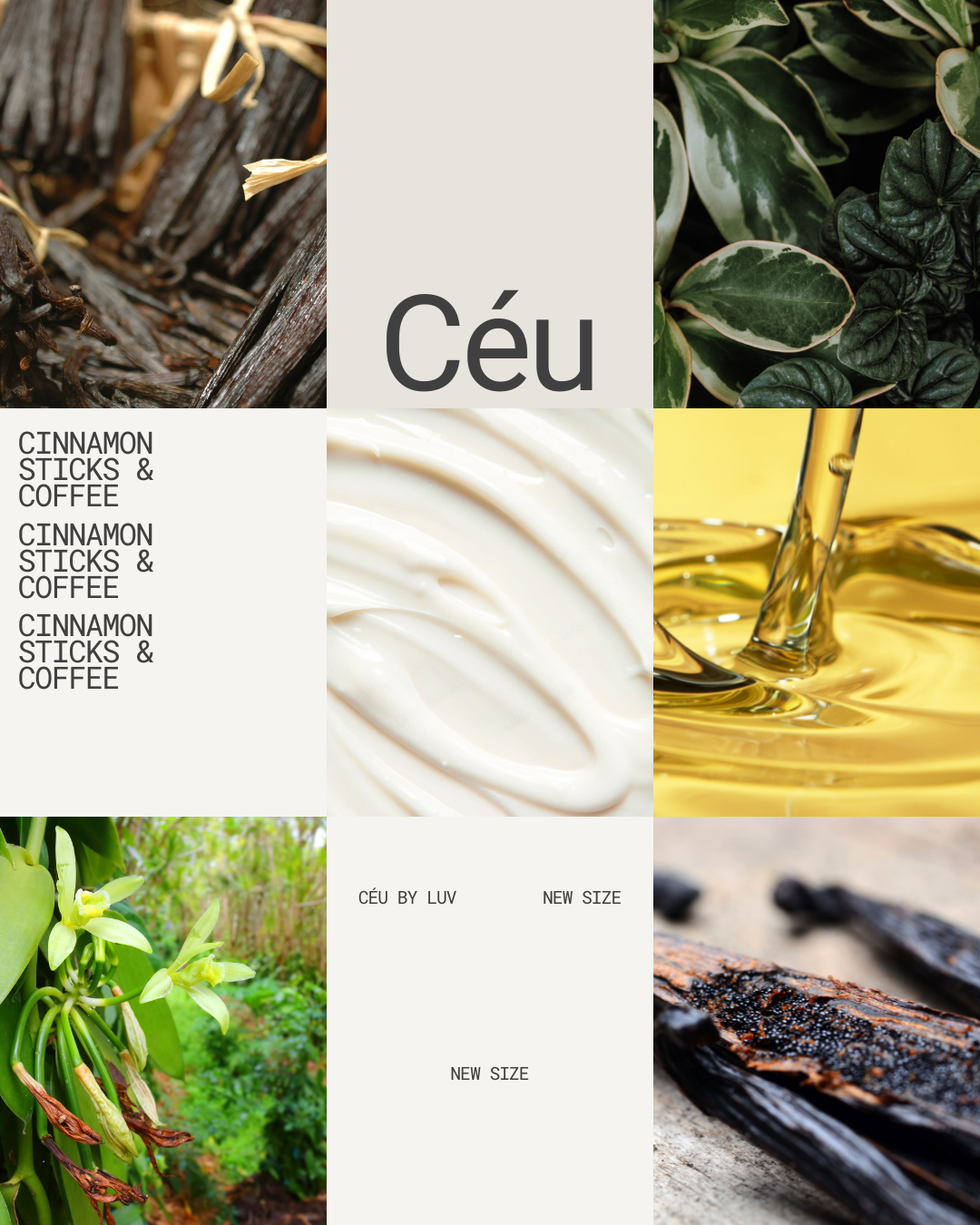 Vanilla Bean Body Butter