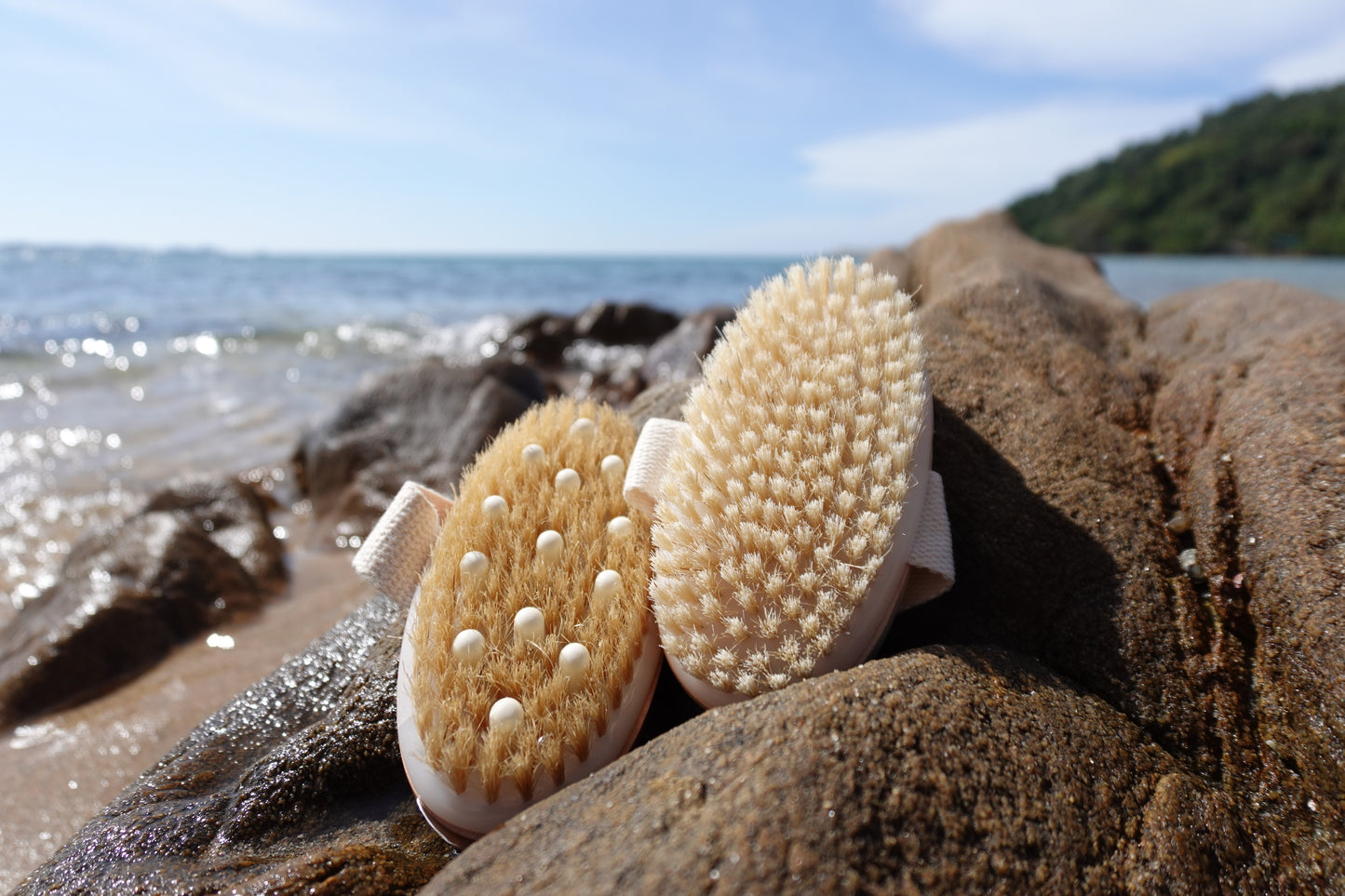 Hand Held Dry Brush