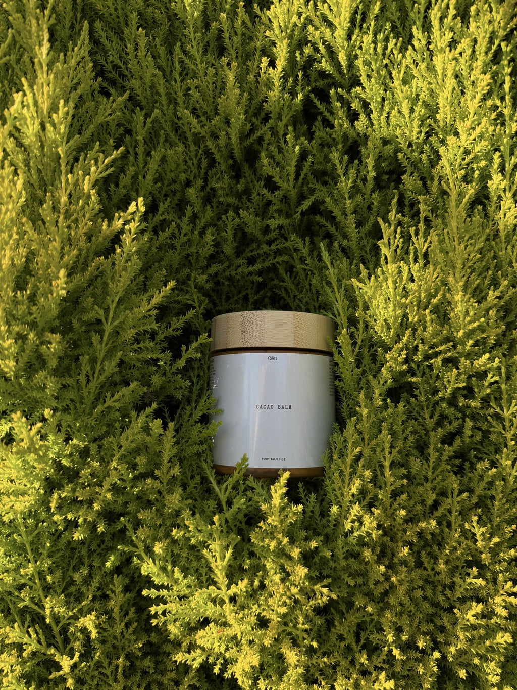 Cacao Balm