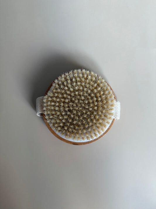 circle dry brush