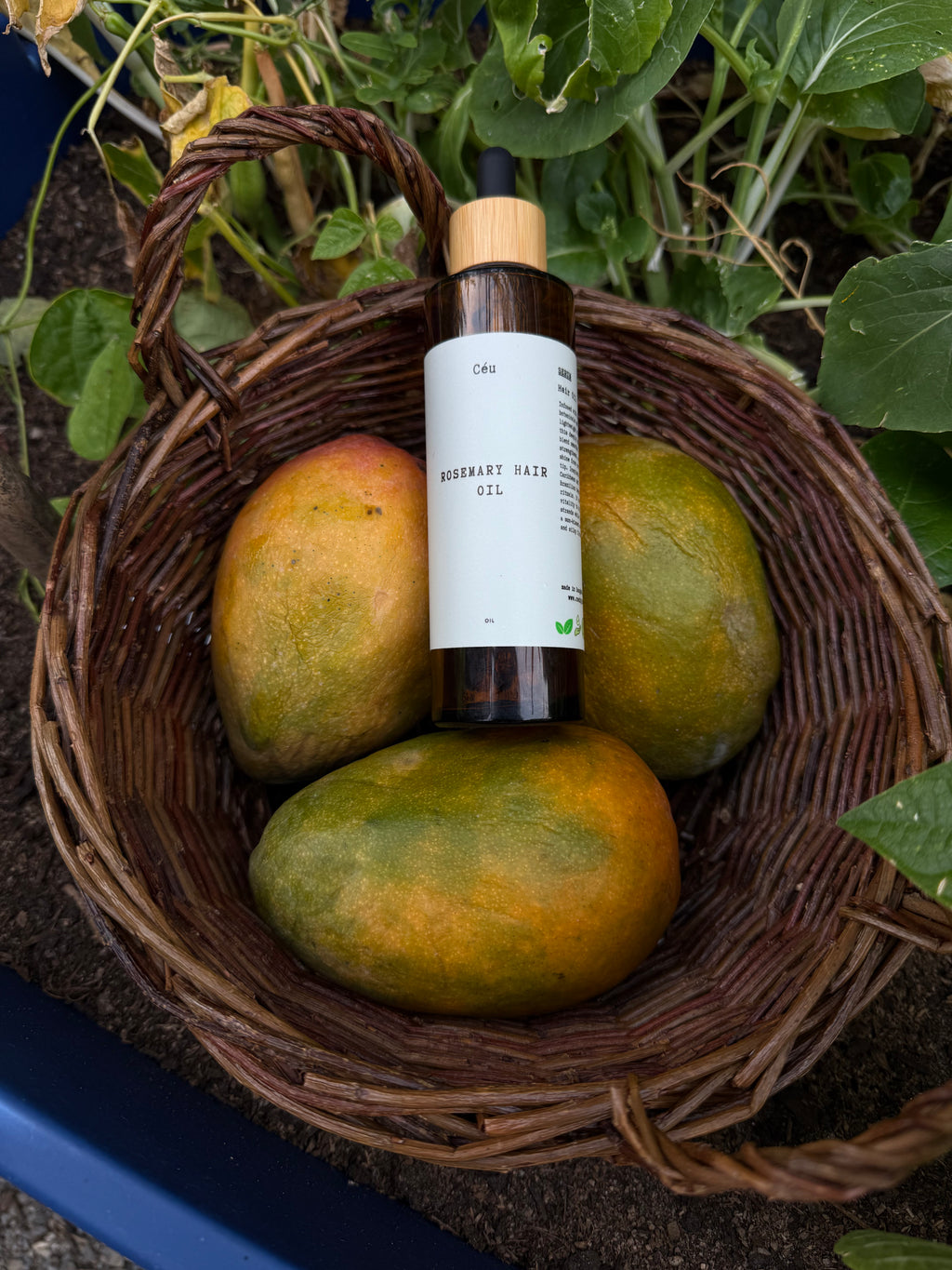 Rosemary & Clove hair oil