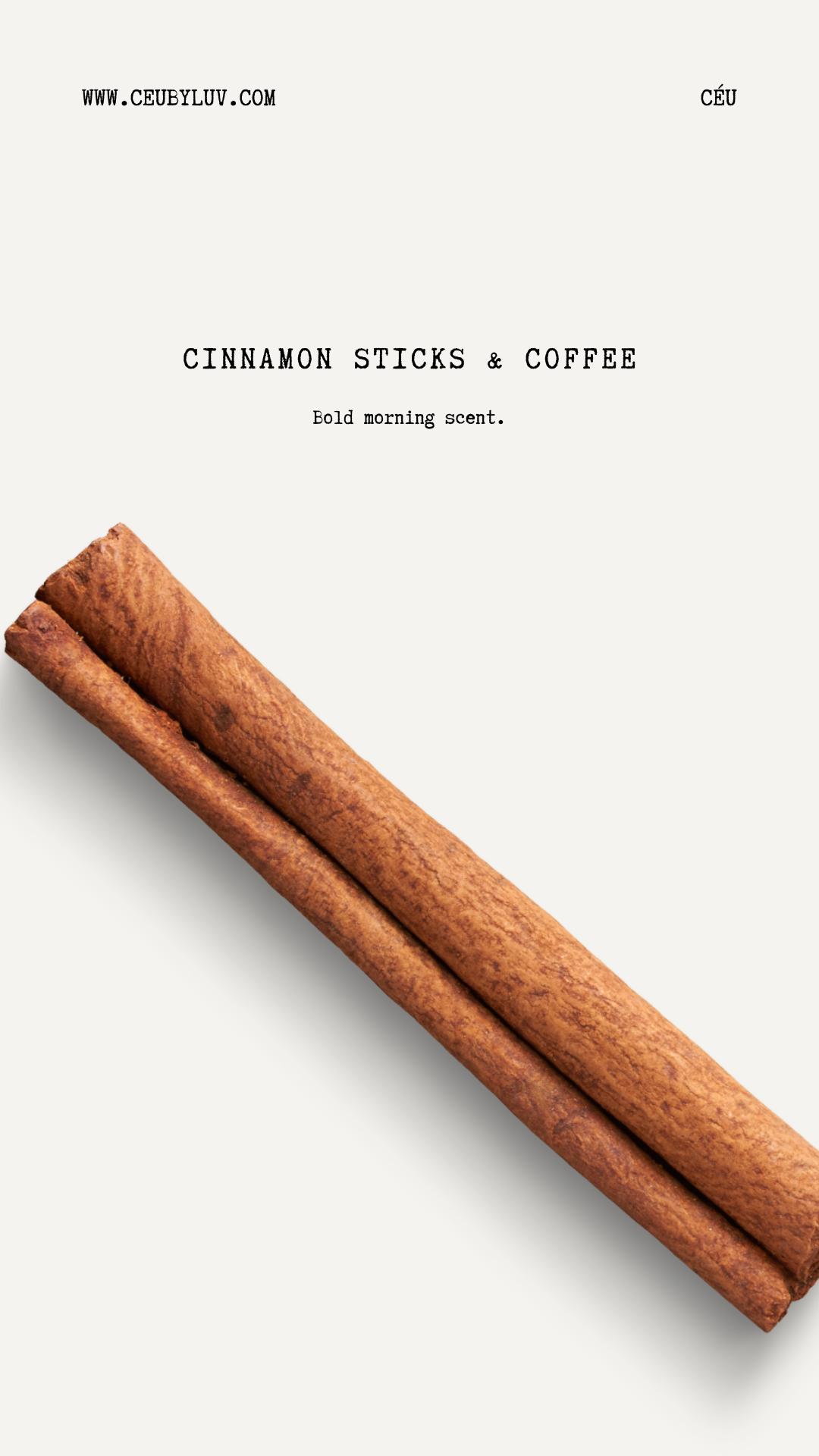 Cinnamon Sticks & Coffee body lotion