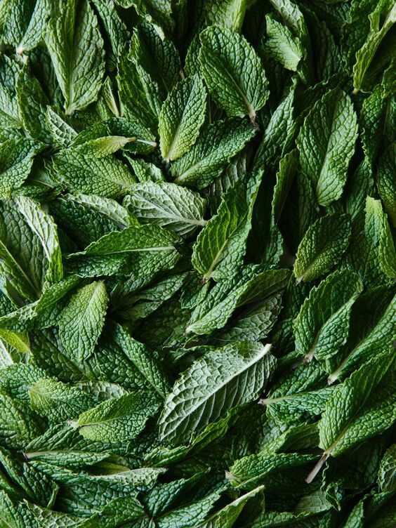 Minty Clean soap bar